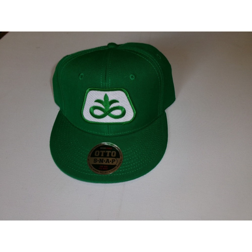 PIONEER SEED SNAPBACK BEACH GOLF Y2K 00S HAT CAP VINTAGE J2